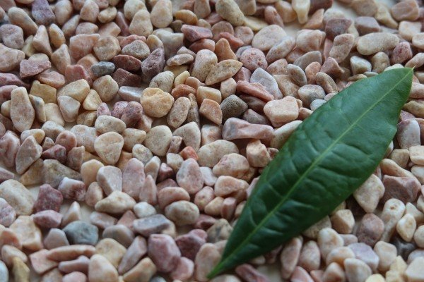 Aquarium Gravel For Plants best
