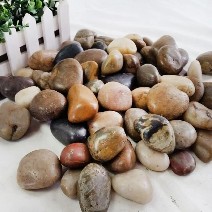 Multicolor Polished Pebbles